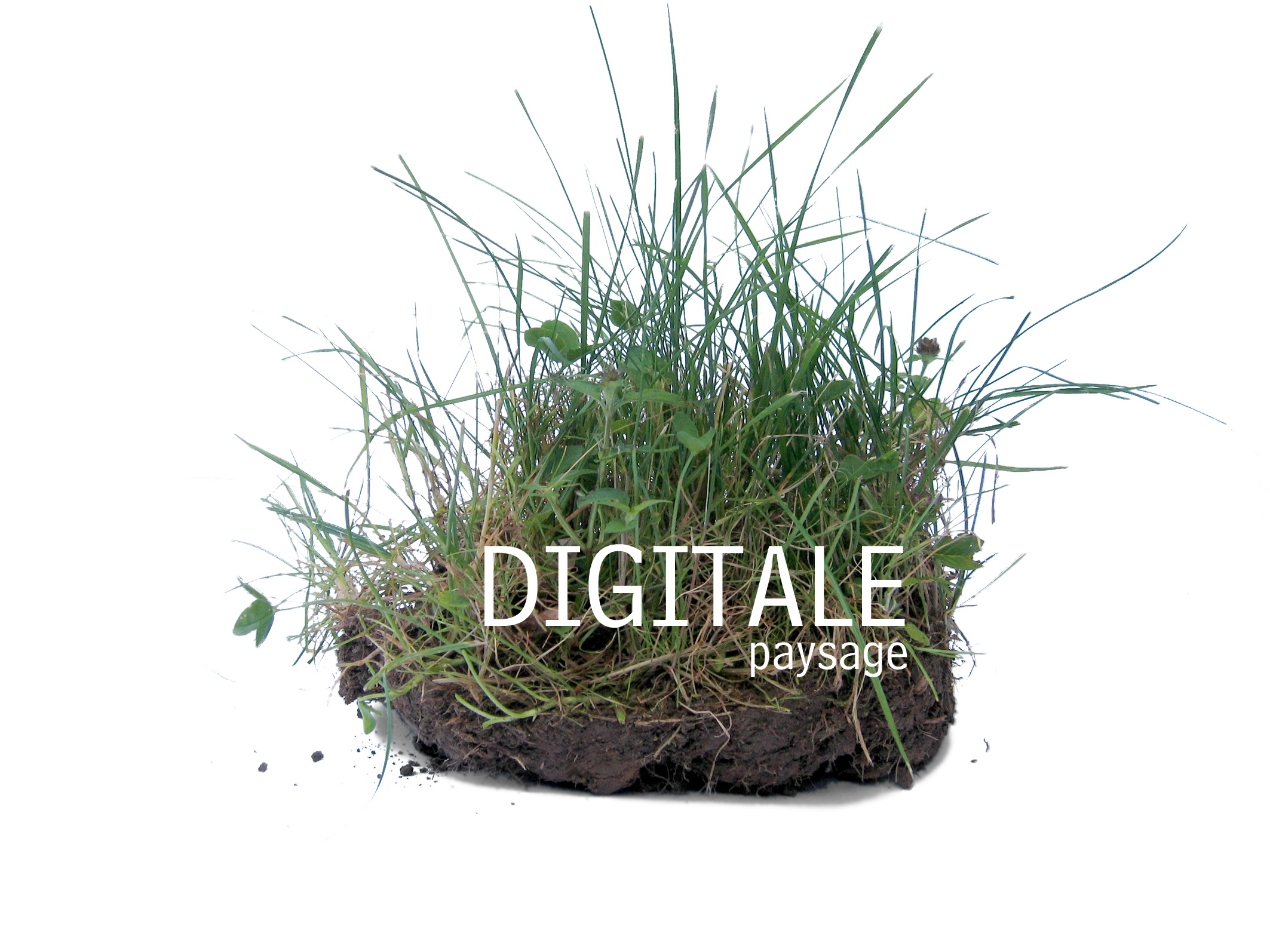 DIGITALEpaysage
